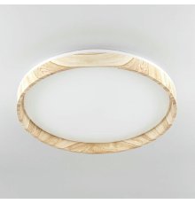 Потолочный светильник Citilux Enzo CL753452G