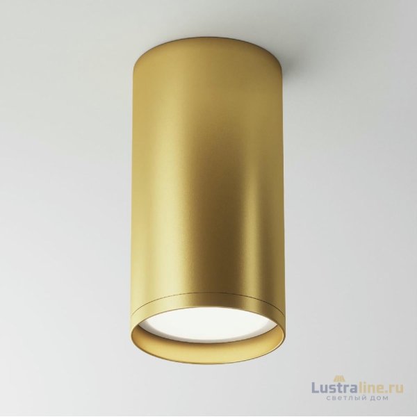 Потолочный светильник Maytoni FOCUS S C052CL-01MG