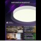 Потолочный светильник Natali Kovaltseva LED LAMPS 81111/5C