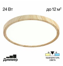 Потолочный светильник Citilux Бейсик CL738242V
