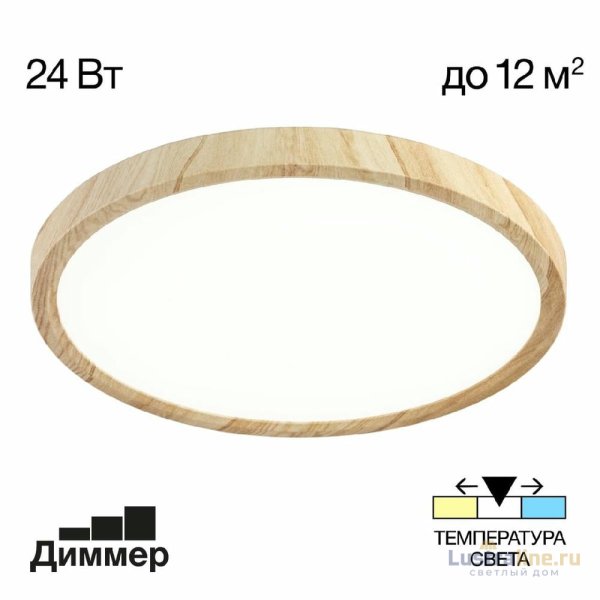 Потолочный светильник Citilux Бейсик CL738242V