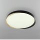 Потолочный светильник Citilux Bonny CL754451G