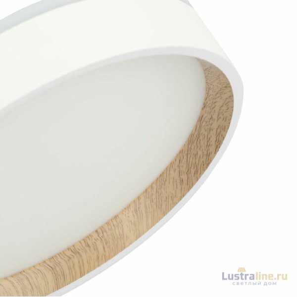 Потолочный светильник Citilux Etalon CL750180