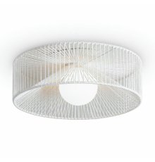 Потолочный светильник Freya Cottage FR5405CL-01W