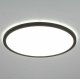 Потолочный светильник Citilux Basic Line CL738321VL