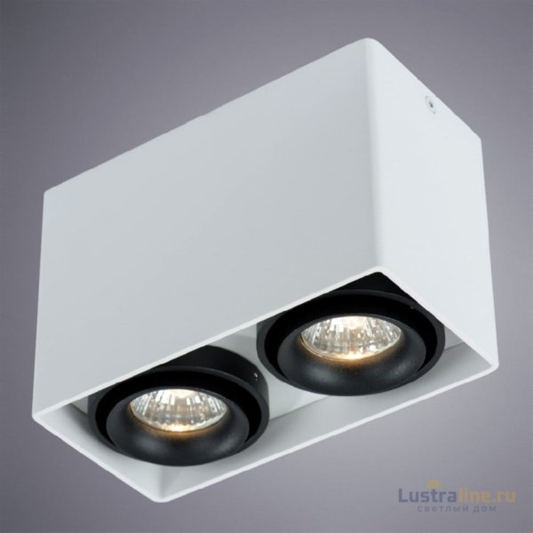 Потолочный светильник Arte Lamp A5655PL-2WH Потолочный светильник Arte Lamp A5655PL-2WH