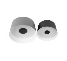 Потолочный светильник Loft IT Duo 10360/2