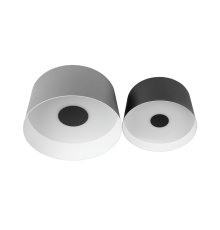 Потолочный светильник Loft IT Duo 10360/2