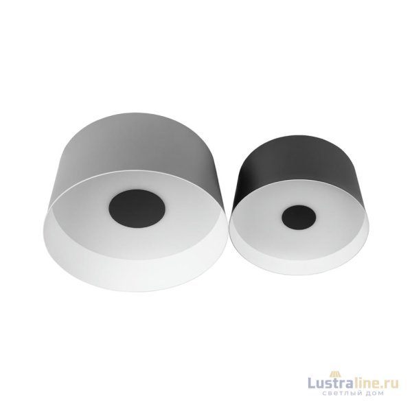 Потолочный светильник Loft IT Duo 10360/2 Потолочный светильник Loft IT Duo 10360/2