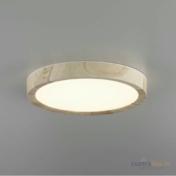 Потолочный светильник Citilux Бейсик CL738122N