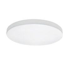Потолочный светодиодный светильник Lightstar Zocco Cyl Led 225262