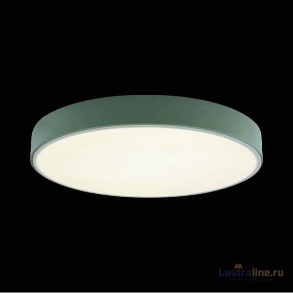 Потолочный светильник Loft IT AXEL 10002/24 Green Потолочный светильник Loft IT AXEL 10002/24 Green
