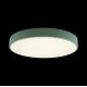 Потолочный светильник Loft IT AXEL 10002/24 Green