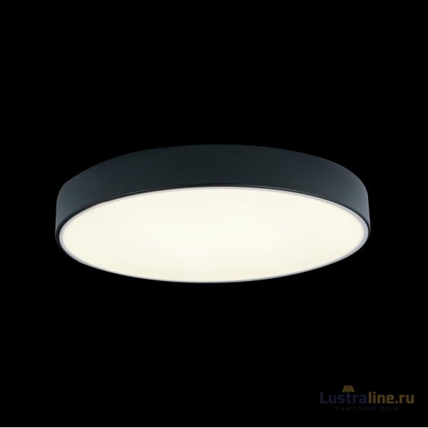 Потолочный светодиодный светильник Loft IT Axel 10002/24 black