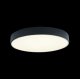 Потолочный светодиодный светильник Loft IT Axel 10002/24 black