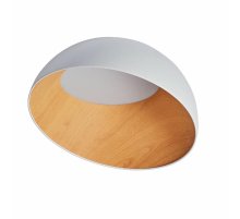 Потолочный светильник Zortes Baum ZRS.01201.19