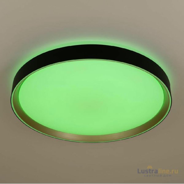 Потолочный светильник Citilux Boss CL751451G Потолочный светильник Citilux Boss CL751451G