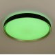 Потолочный светильник Citilux Boss CL751451G