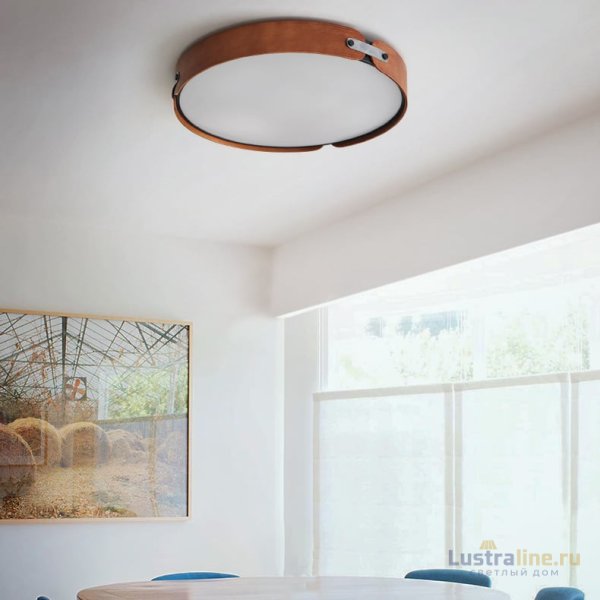 Потолочный светильник ImperiumLoft Range 101959-26 Потолочный светильник ImperiumLoft Range 101959-26