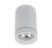 Потолочный светильник Aployt Edda APL.0054.09.10