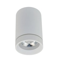 Потолочный светильник Aployt Edda APL.0054.09.10