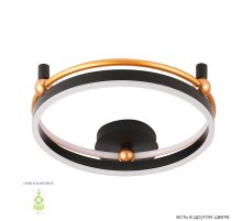 Потолочный светильник Crystal Lux FERNANDO PL48W LED BLACK/GOLD