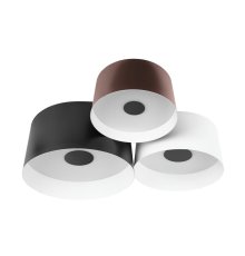 Потолочный светильник Loft IT Duo 10360/3