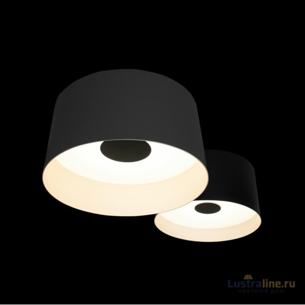 Потолочный светильник Loft IT Duo 10360/2 Потолочный светильник Loft IT Duo 10360/2