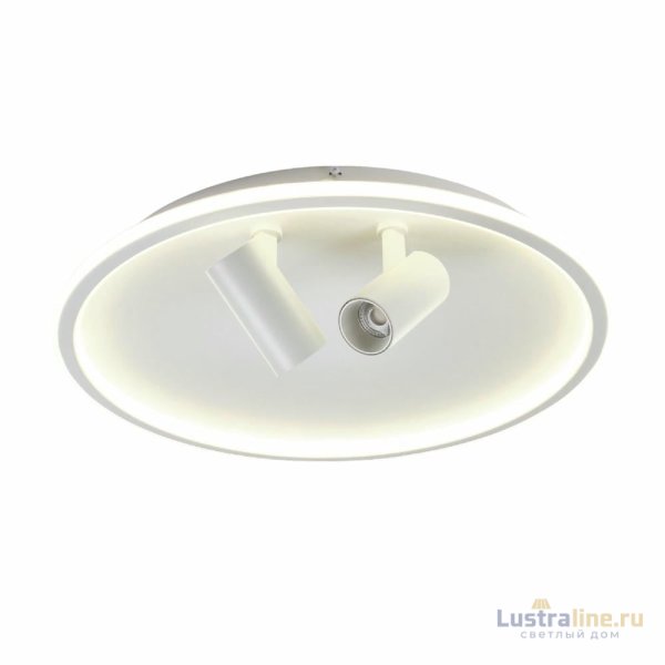 Потолочный светильник Myfar Focus MR9050-CL