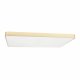 Потолочный светильник Loft IT Flims 10228/E