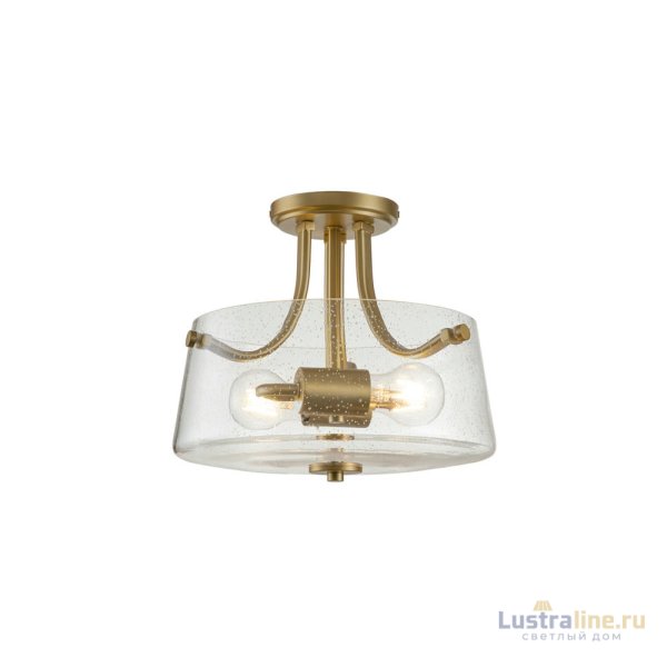 Потолочный светильник Quoizel Hollister QZ-HOLLISTER-SF-BB