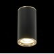 Потолочный светильник ST Luce Chomus ST111.437.01