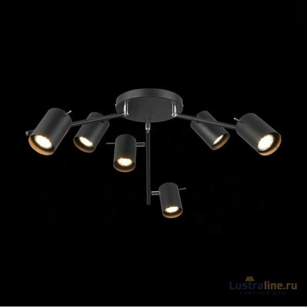 Потолочный светильник ST LUCE FANALE SL597.402.06