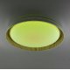 Потолочный светильник Citilux Mega CL752452G