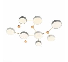 Потолочный светильник Evoluce Dossena SLE600102-08