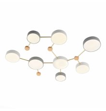 Потолочный светильник Evoluce Dossena SLE600102-08