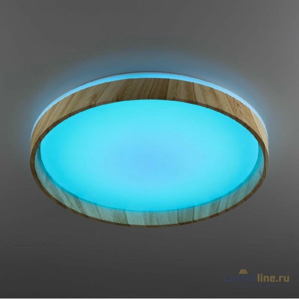 Потолочный светильник Citilux Enzo CL753452G Потолочный светильник Citilux Enzo CL753452G