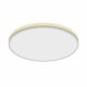 Потолочный светильник Citilux Norma CL748500