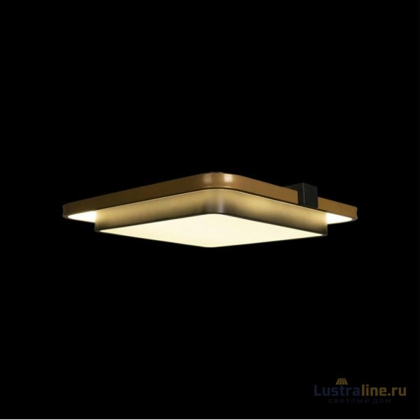 Потолочный светильник Loft IT Mike 10171