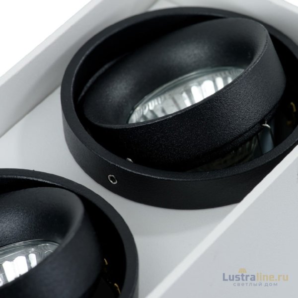 Потолочный светильник Arte Lamp A5655PL-2WH Потолочный светильник Arte Lamp A5655PL-2WH