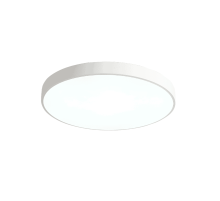 Потолочный светильник Zortes Tortty ZRS.02564.96