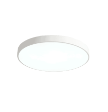 Потолочный светильник Zortes Tortty ZRS.02564.96
