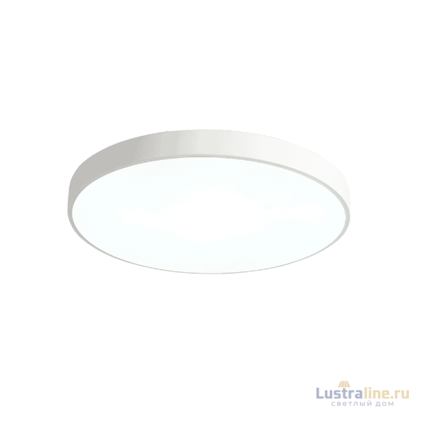 Потолочный светильник Zortes Tortty ZRS.02564.96 Потолочный светильник Zortes Tortty ZRS.02564.96
