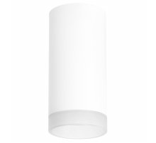 Потолочный светильник Lightstar RULLO R648680 (216486+202480)