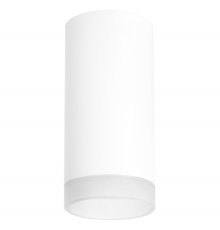 Потолочный светильник Lightstar RULLO R648680 (216486+202480)