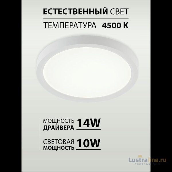 Потолочный светильник Natali Kovaltseva Plain LED LAMPS 81113/1C