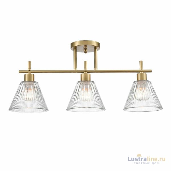 Потолочный светильник Lumion Vivian 8188/3C