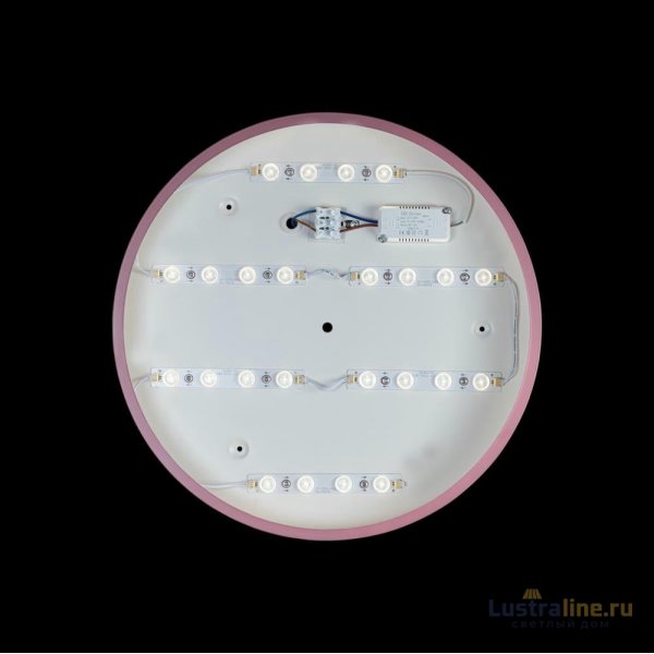 Потолочный светильник Loft IT AXEL 10002/24 Pink Потолочный светильник Loft IT AXEL 10002/24 Pink