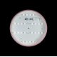 Потолочный светильник Loft IT AXEL 10002/24 Pink