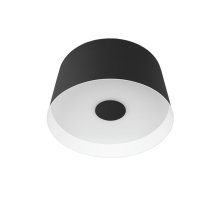 Потолочный светильник Loft IT Duo 10360S Black